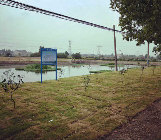 湖州市高新區沈溇村養殖尾水生態治理工程.jpg